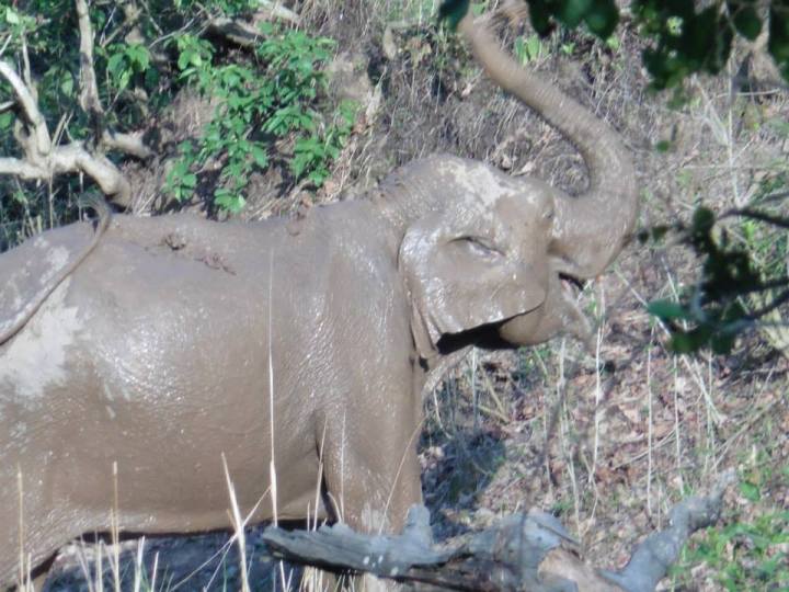 10415644_10152147158626398_71827320810314253_n