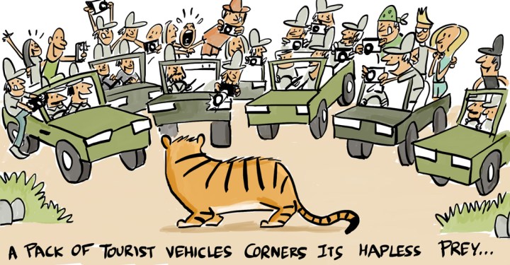 tiger-tourism-hapless
