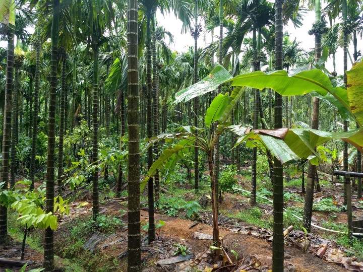 IMG_20190907_133013396