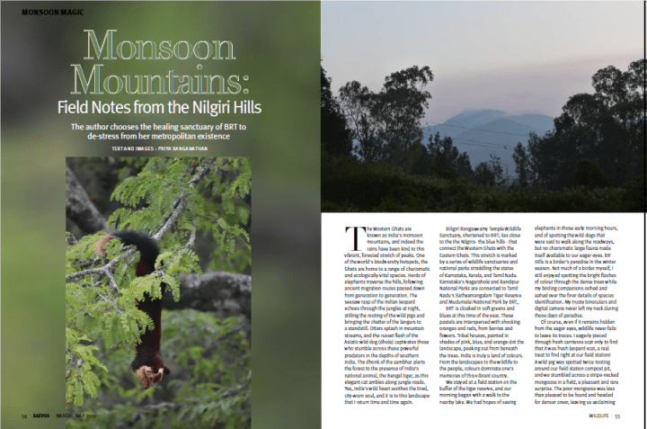 monsoonmtns