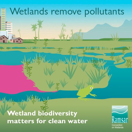 EN_CARD3_filterpollution