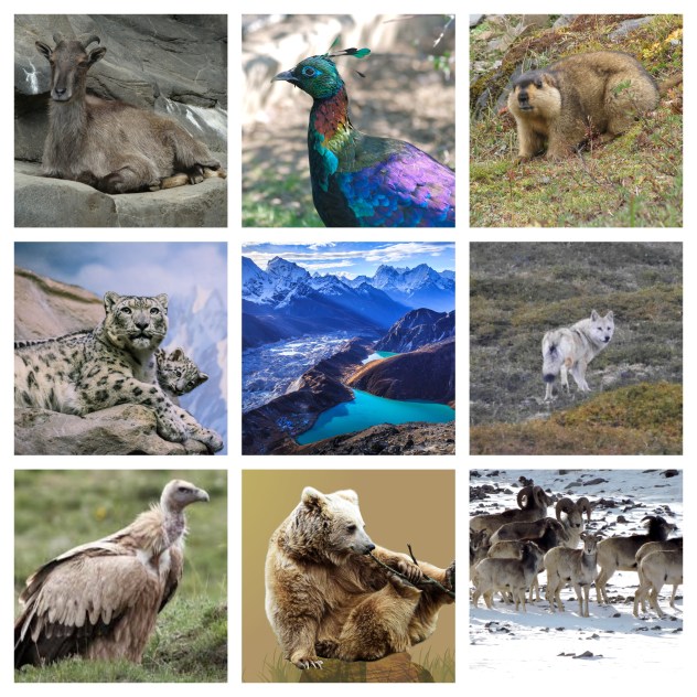 biodiversity_himalayas